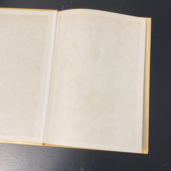 Vintage Rourke Dinosaur Library 7 Books Yellow Orange Peach Decorative Bookshelf - Picture 5 of 16